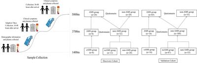 Potential plasma biomarkers at low altitude for prediction of acute mountain sickness